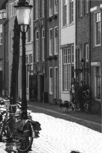 Woman with dog, street in Delft