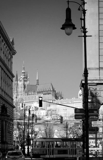 View at the Prague cathedral and palace